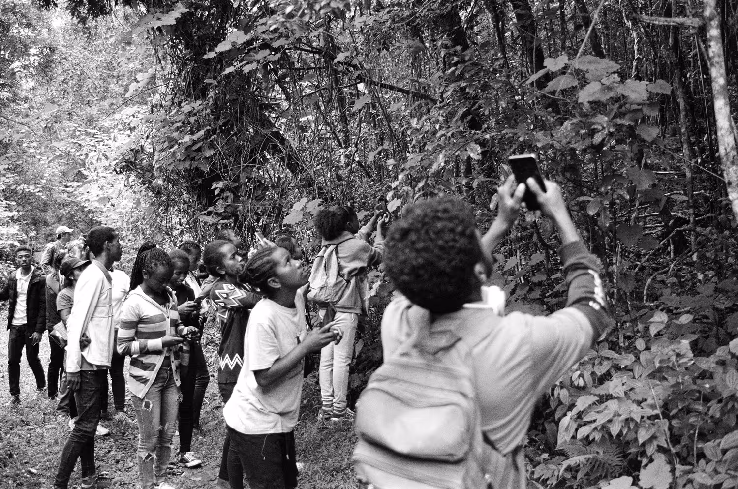 Lemurs are elusive, and seeing one in the wild is a special moment, even for Malagasy people such as those students on a field trip